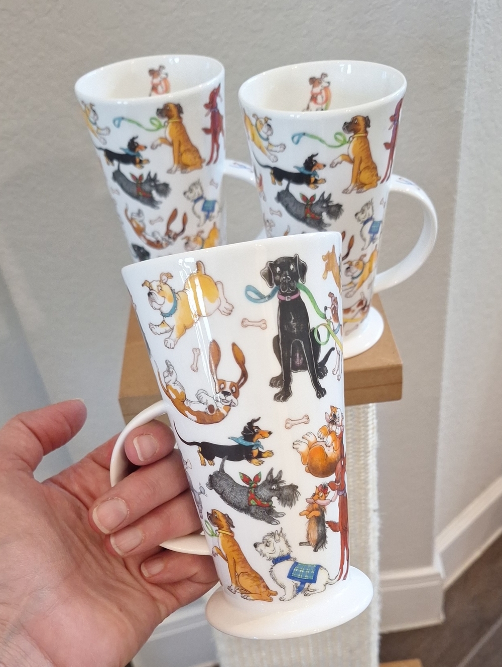 Dunoon Dogs Galore By Cherry Denman 3 Piece Tall Mug Set